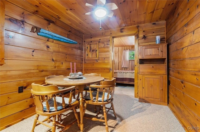2 Shady Ln, Inlet, NY 13360 - photo 20