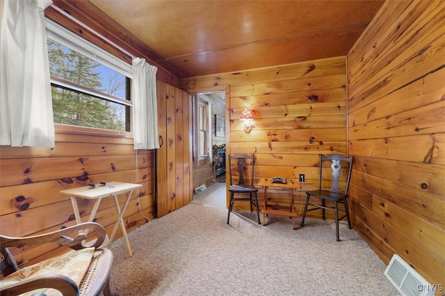 2 Shady Ln, Inlet, NY 13360 - photo 27