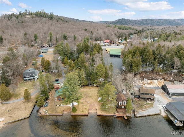 birds eye view of property with a wooded view and a water and mountain view