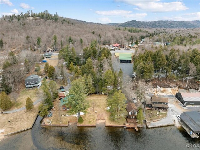 2 Shady Ln, Inlet, NY 13360 - photo 34
