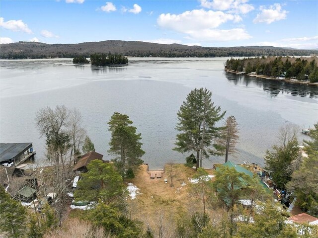 2 Shady Ln, Inlet, NY 13360 - photo 32