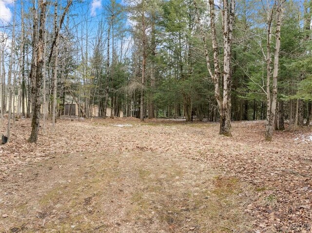 2 Shady Ln, Inlet, NY 13360 - photo 35