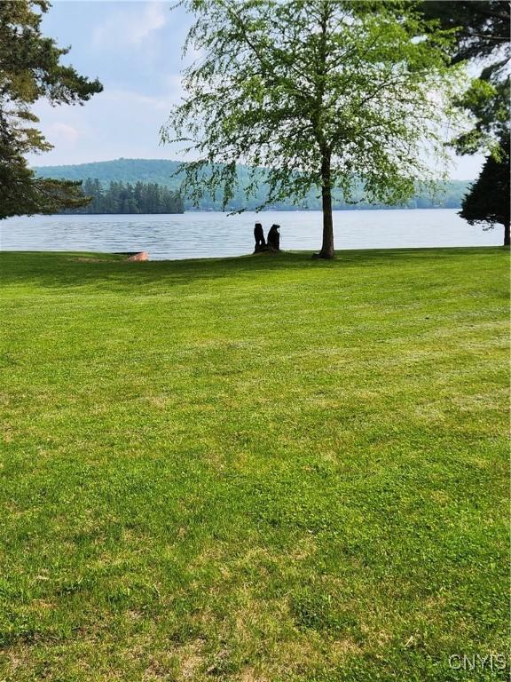 2 Shady Ln, Inlet, NY 13360 - photo 3
