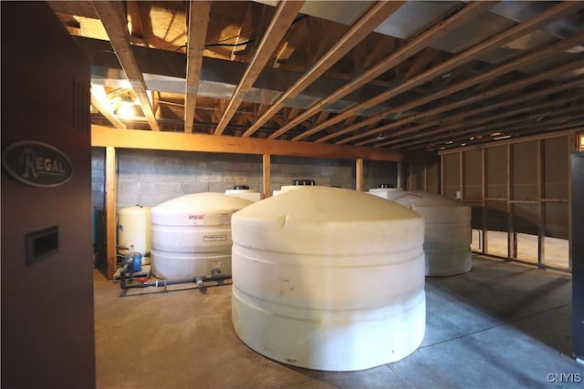 14 Renshaw Bay Rd, Sandy Creek, NY 13145 - unfinished below grade area featuring concrete block wall