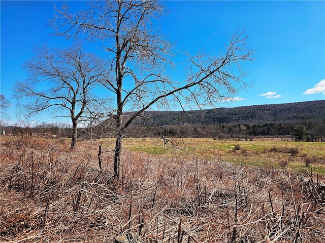 3214 State Highway 28, Milford, NY 13834 - photo 1