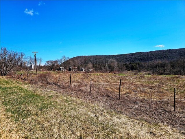 3214 State Highway 28, Milford, NY 13834 - photo 7