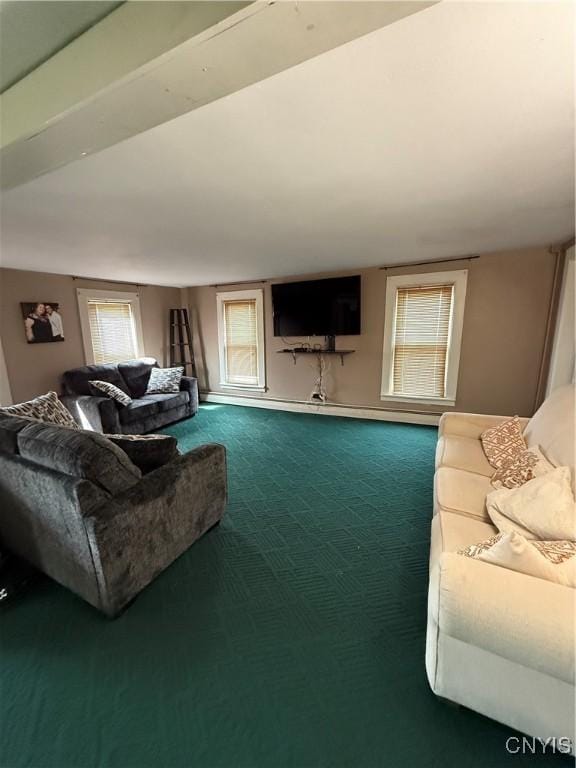 view of carpeted living area