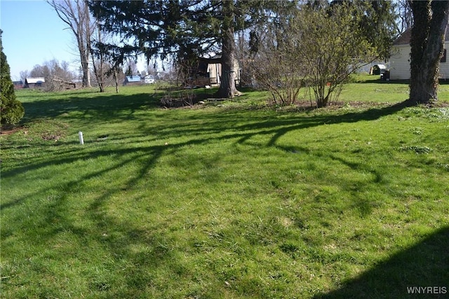 2386 Main St, Collins, NY 14034 - view of yard