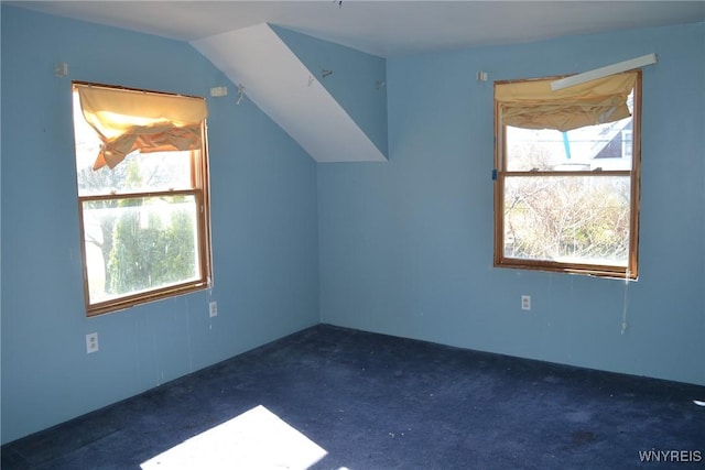 2386 Main St, Collins, NY 14034 - bonus room featuring carpet floors, a wealth of natural light, and lofted ceiling
