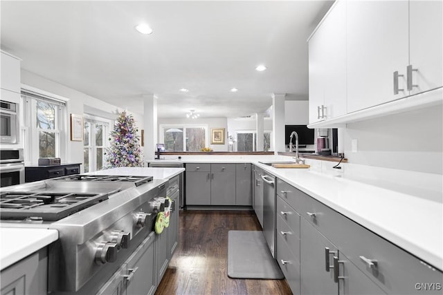 kitchen with a sink, gray cabinets, appliances with stainless steel finishes, light countertops, and dark wood-style flooring