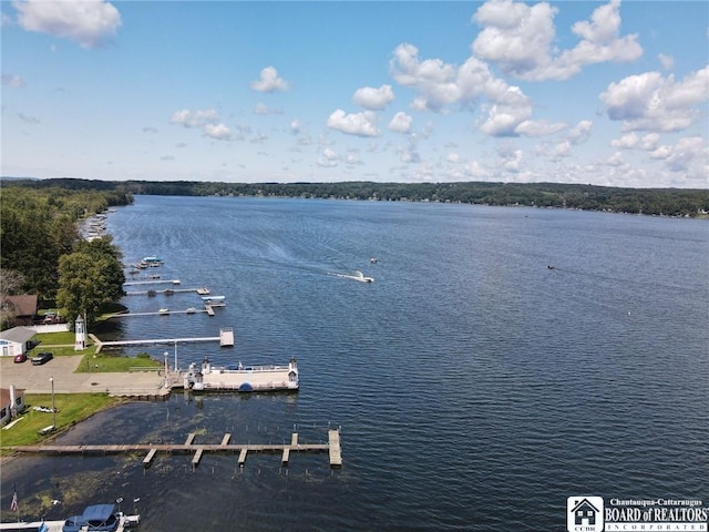 5975 Fishermans Ln, Chautauqua, NY 14757 - photo 40