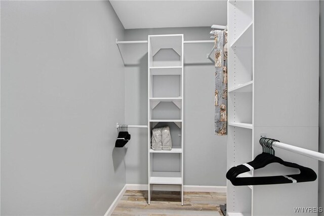 spacious closet with wood finished floors