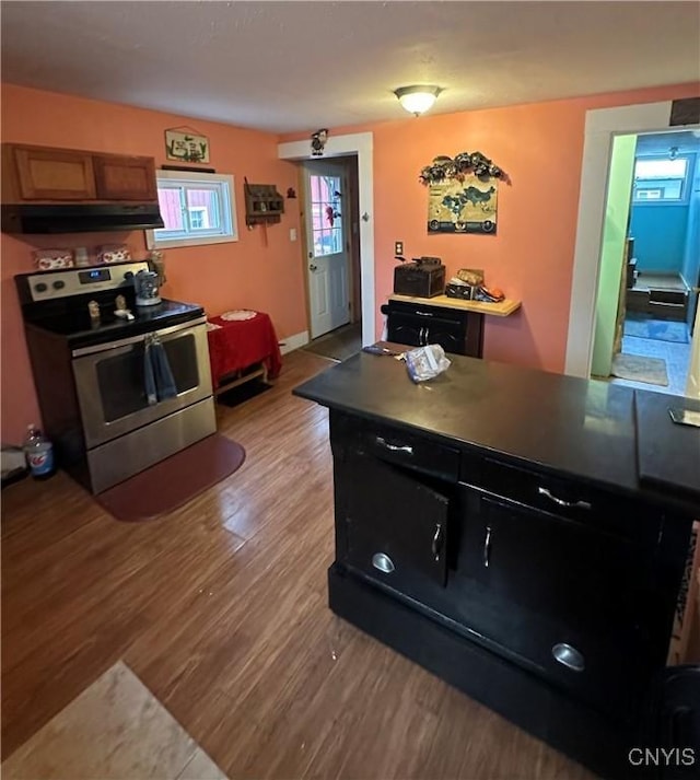 kitchen featuring under cabinet range hood, electric stove, and wood finished floors