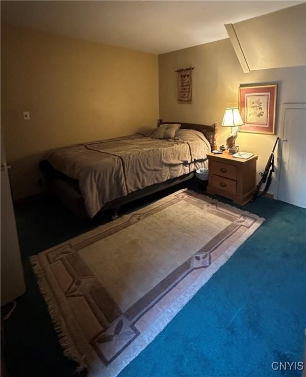 bedroom with carpet floors