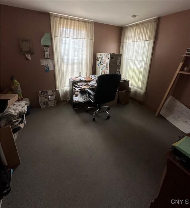 office area featuring carpet