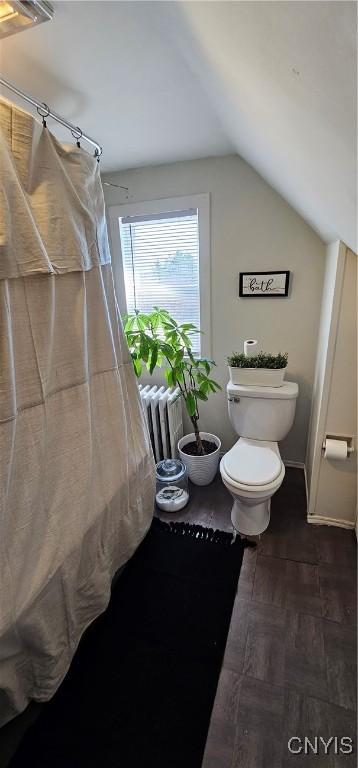 2938 Cataract St, Denmark, NY 13626 - full bathroom featuring toilet, radiator heating unit, lofted ceiling, and a shower with shower curtain