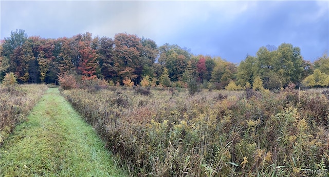 Hayes Hollow Rd, Colden, NY 14033