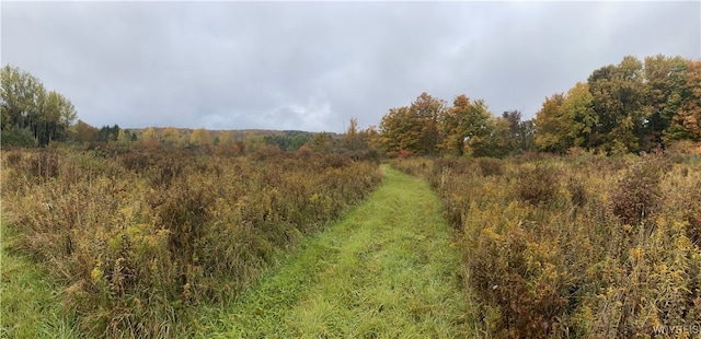 Hayes Hollow Rd, Colden, NY 14033