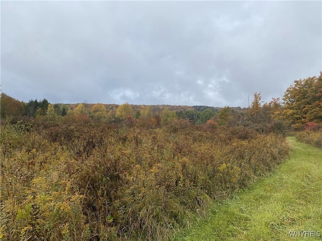 Hayes Hollow Rd, Colden, NY 14033