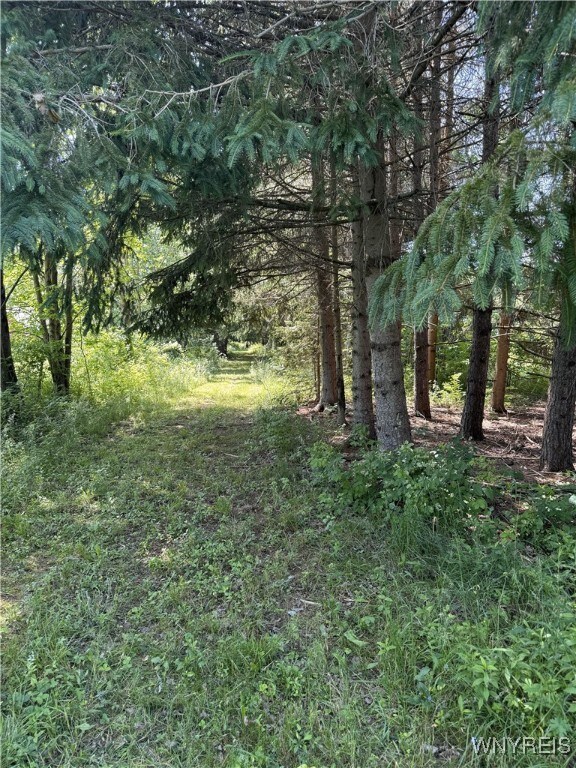 Hayes Hollow Rd, Colden, NY 14033