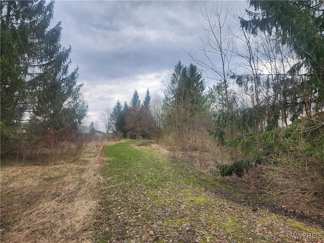 Hayes Hollow Rd, Colden, NY 14033