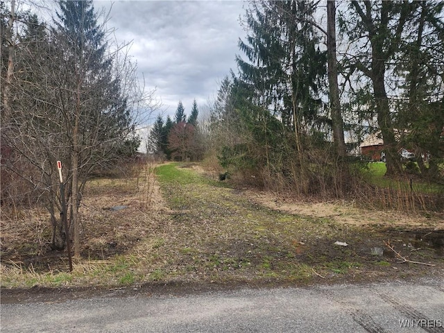 Hayes Hollow Rd, Colden, NY 14033