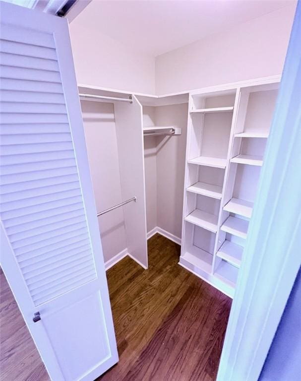 spacious closet featuring wood finished floors