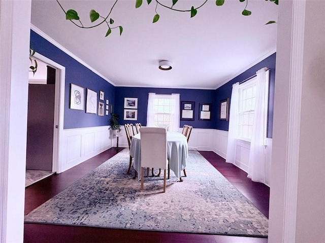 dining room with a decorative wall, crown molding, dark wood-style floors, and wainscoting