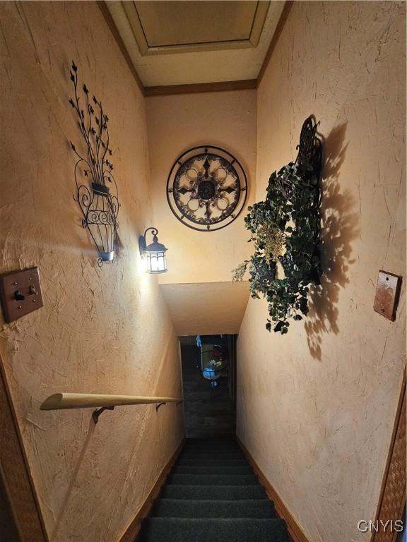 stairway with carpet