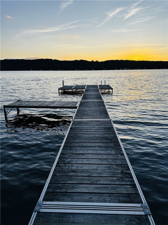dock area with a water view