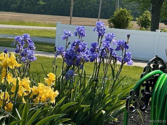 2842 Braley Rd, Wilson, NY 14131 - view of community