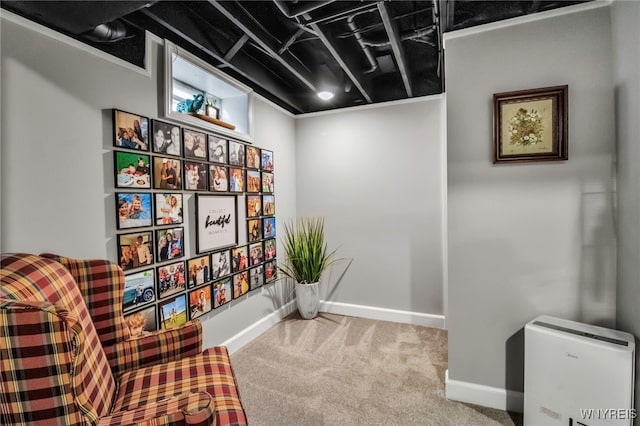 sitting room featuring baseboards and carpet floors