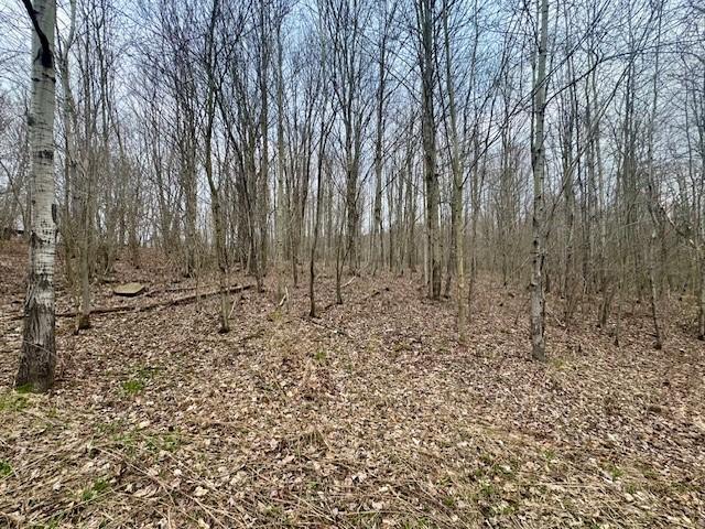 64 Olin Evans Rd, Franklin, NY 13775