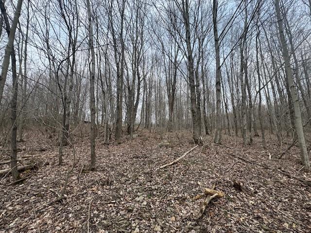 64 Olin Evans Rd, Franklin, NY 13775
