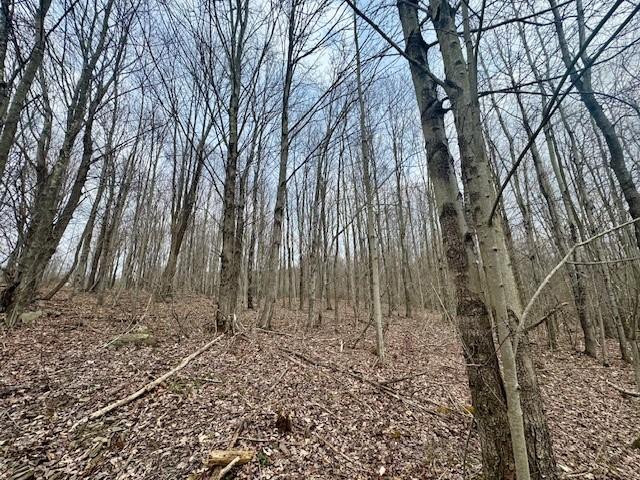 64 Olin Evans Rd, Franklin, NY 13775