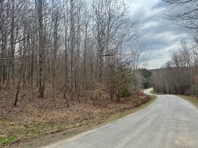 64 Olin Evans Rd, Franklin, NY 13775