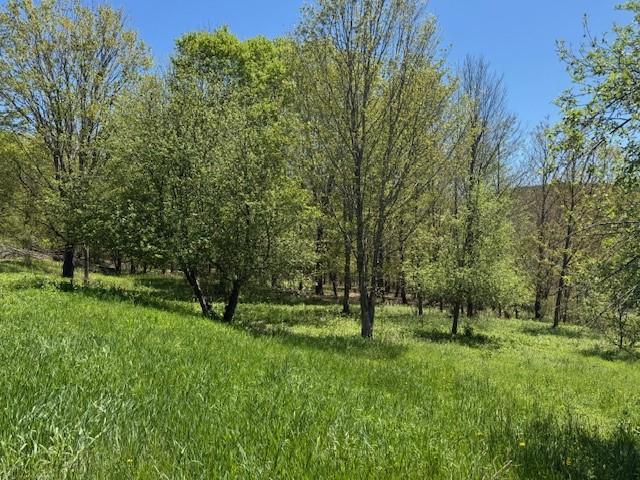 64 Olin Evans Rd, Franklin, NY 13775