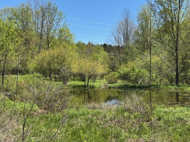 64 Olin Evans Rd, Franklin, NY 13775