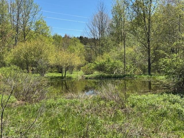 64 Olin Evans Rd, Franklin, NY 13775