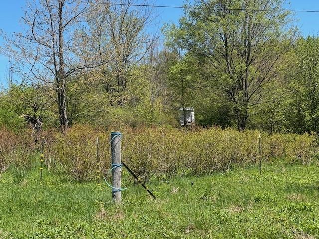 64 Olin Evans Rd, Franklin, NY 13775