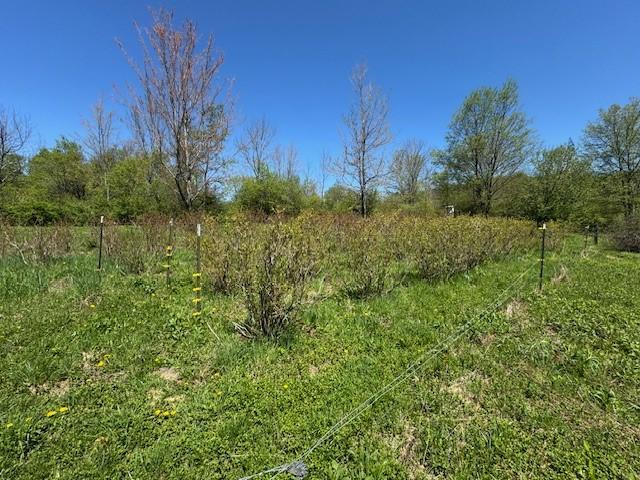 64 Olin Evans Rd, Franklin, NY 13775