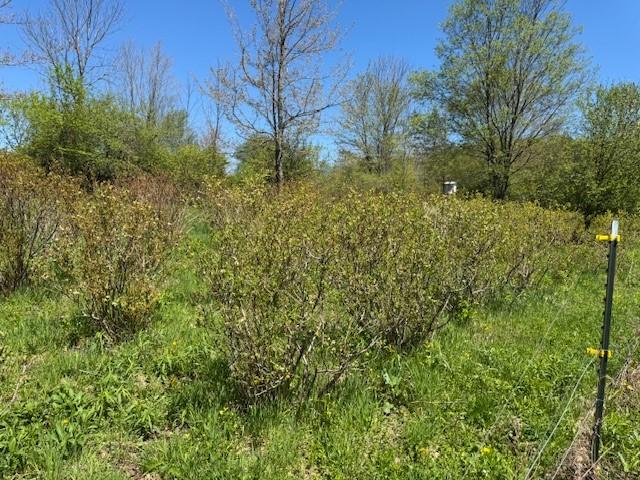 64 Olin Evans Rd, Franklin, NY 13775