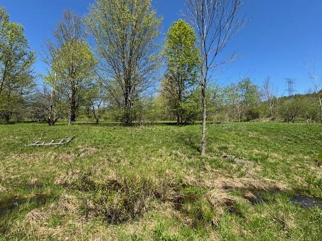 64 Olin Evans Rd, Franklin, NY 13775