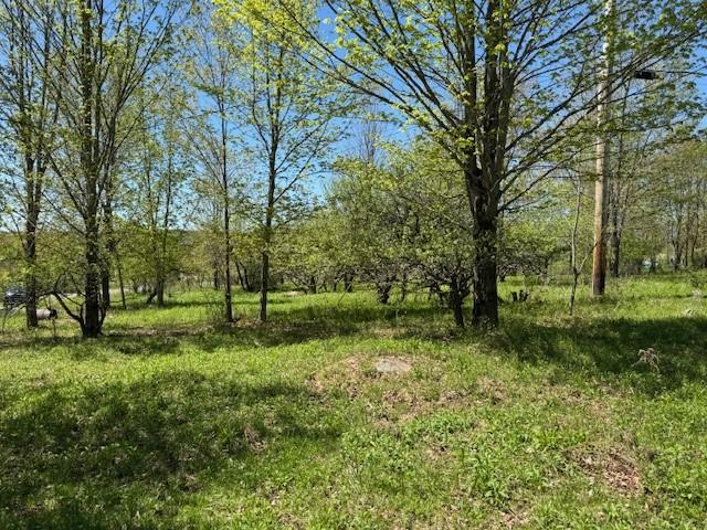 64 Olin Evans Rd, Franklin, NY 13775