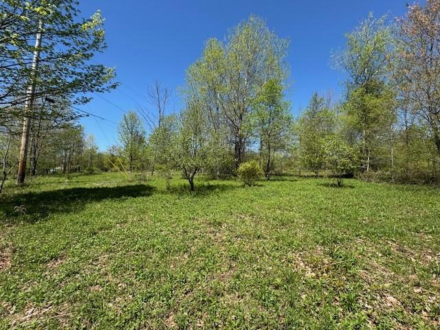64 Olin Evans Rd, Franklin, NY 13775