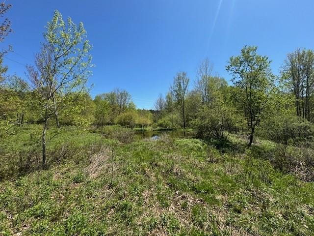 64 Olin Evans Rd, Franklin, NY 13775