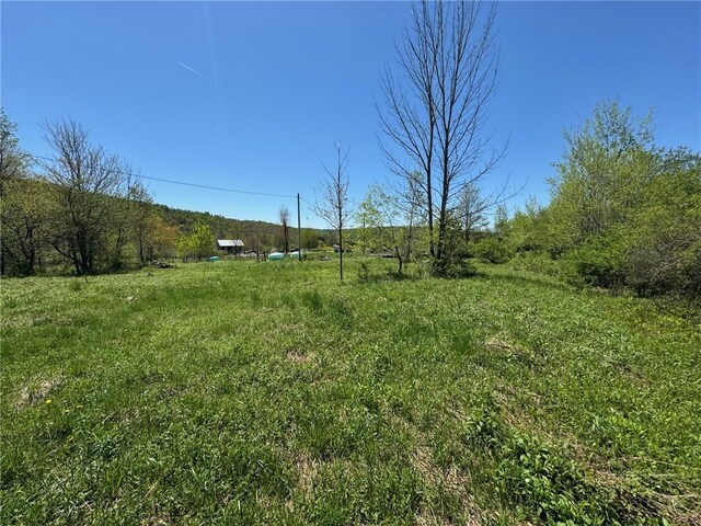 64 Olin Evans Rd, Franklin, NY 13775