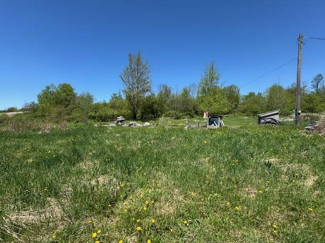 64 Olin Evans Rd, Franklin, NY 13775
