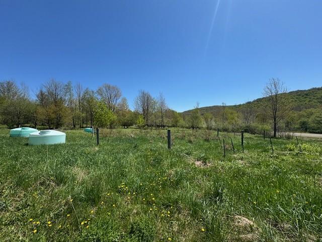 64 Olin Evans Rd, Franklin, NY 13775