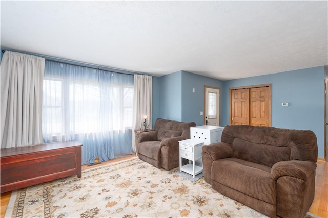 739 Pre Emption Rd, Geneva-City, NY 14456 - living area featuring wood finished floors and plenty of natural light